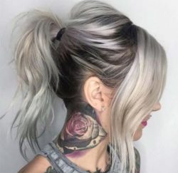 silver gray Hair