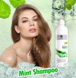 summer hair care mint shampoo